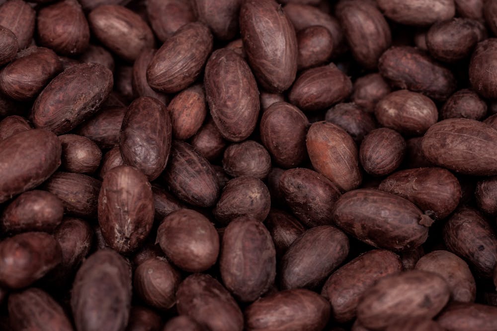 kakao bønner